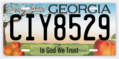 GA license plate CIY8529
