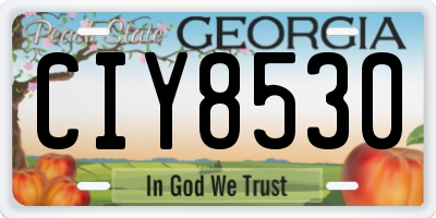 GA license plate CIY8530