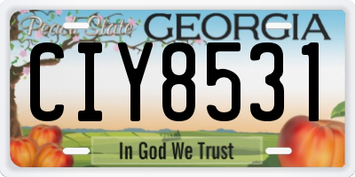 GA license plate CIY8531
