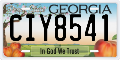 GA license plate CIY8541
