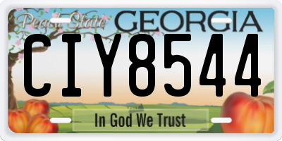 GA license plate CIY8544