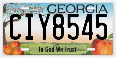 GA license plate CIY8545