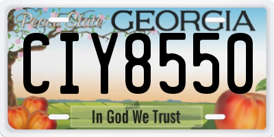 GA license plate CIY8550