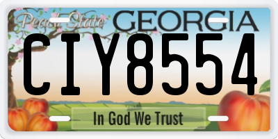 GA license plate CIY8554
