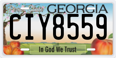 GA license plate CIY8559