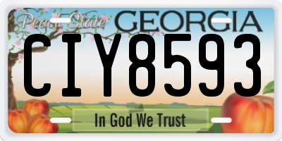 GA license plate CIY8593