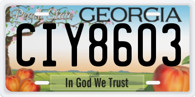 GA license plate CIY8603
