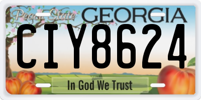 GA license plate CIY8624