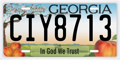 GA license plate CIY8713