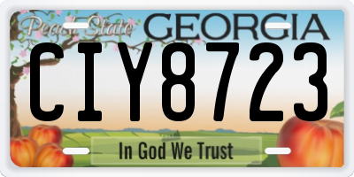 GA license plate CIY8723