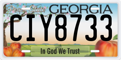 GA license plate CIY8733