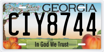 GA license plate CIY8744