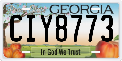 GA license plate CIY8773