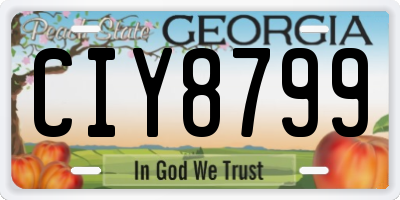 GA license plate CIY8799