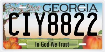 GA license plate CIY8822