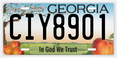 GA license plate CIY8901