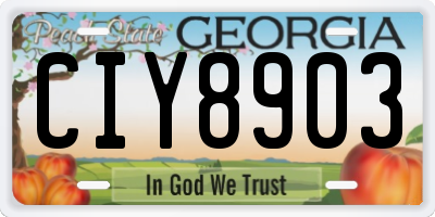 GA license plate CIY8903