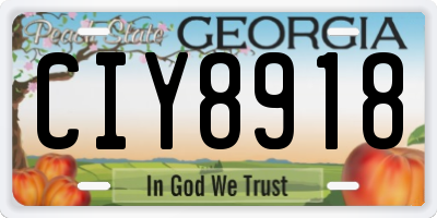 GA license plate CIY8918