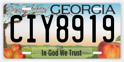 GA license plate CIY8919