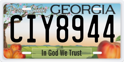 GA license plate CIY8944