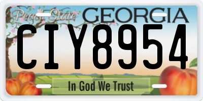GA license plate CIY8954