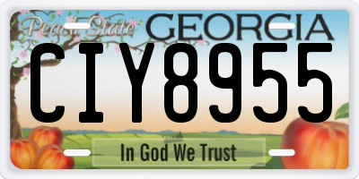 GA license plate CIY8955