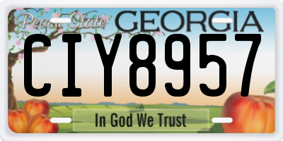 GA license plate CIY8957