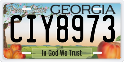 GA license plate CIY8973