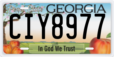 GA license plate CIY8977