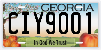 GA license plate CIY9001