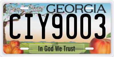GA license plate CIY9003