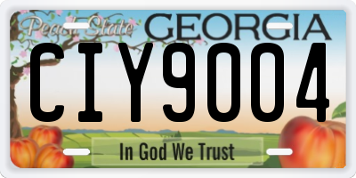 GA license plate CIY9004
