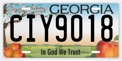 GA license plate CIY9018