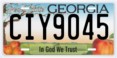 GA license plate CIY9045