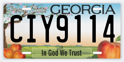 GA license plate CIY9114