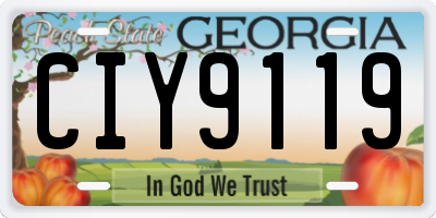 GA license plate CIY9119