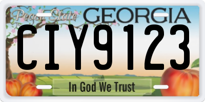 GA license plate CIY9123