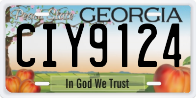 GA license plate CIY9124