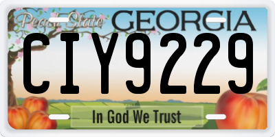 GA license plate CIY9229