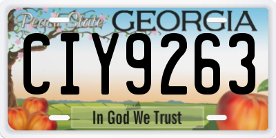 GA license plate CIY9263