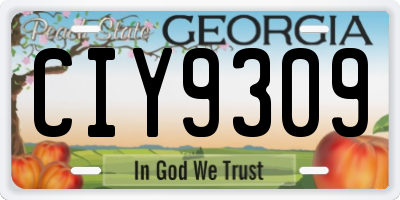 GA license plate CIY9309