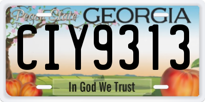 GA license plate CIY9313