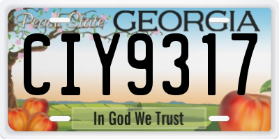 GA license plate CIY9317