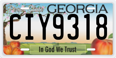 GA license plate CIY9318