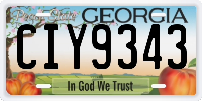 GA license plate CIY9343