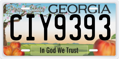 GA license plate CIY9393