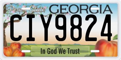 GA license plate CIY9824