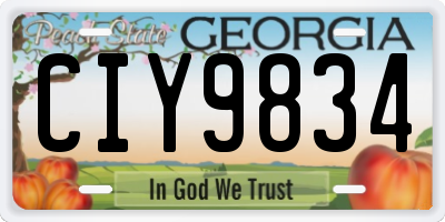 GA license plate CIY9834