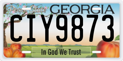 GA license plate CIY9873