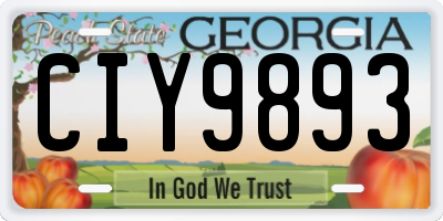 GA license plate CIY9893